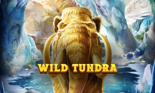 Wild Tundra