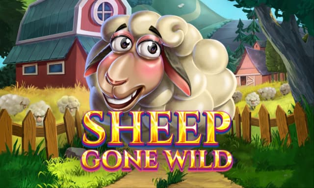 Sheep Gone Wild