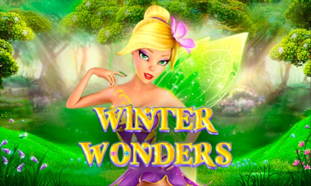Winter Wonders
