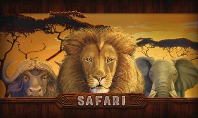 Safari